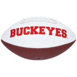 Chase Young Ohio State Buckeyes Fanatics Authentic Autographed White Panel Football -Football Related Stores chase young ohio state buckeyes autographed white panel football pi3830000 altimages ff 3830848 ef61251d5388dd0106d8alt3 full