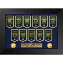 Notre Dame Fighting Irish Highland Mint 11-Time Football National Champions 18'' X 22'' Gold Deluxe Banner Frame