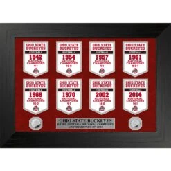 Ohio State Buckeyes Highland Mint 8-Time Football National Champions 18'' X 22'' Gold Deluxe Banner Frame