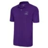 Washington Huskies Antigua Football Legacy Pique Polo - Purple