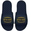 Notre Dame Fighting Irish ISlide Football Logo Slide Sandals - Navy