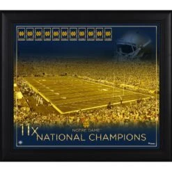 Notre Dame Fighting Irish Fanatics Authentic Framed 15" X 17" Football Championship Count Collage