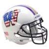 Washington Huskies Fanatics Authentic Schutt USA Theme Mini Football Helmet